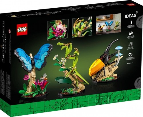 LEGO Ideas 21342 Kolekcja owadów image 2