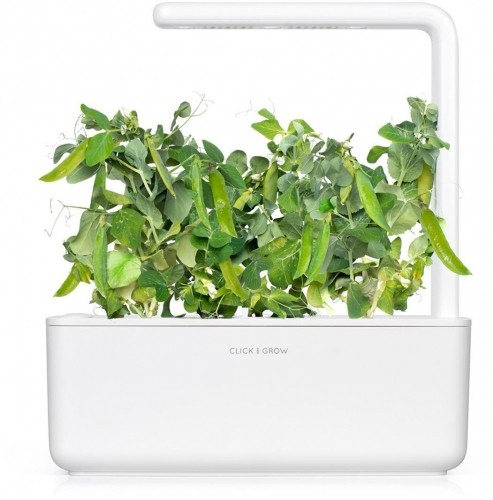 Click & Grow Smart Garden refill Dwarf Pea 3 шт image 3