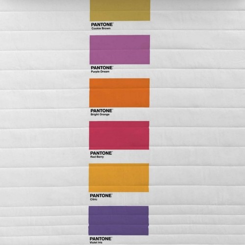 постельное покрывало Fun Deck Pantone image 3