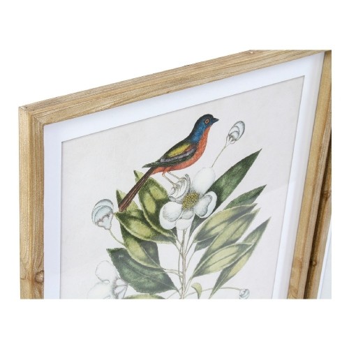Glezna DKD Home Decor Bird Putni (4 pcs) (55 x 2.5 x 70 cm) image 3