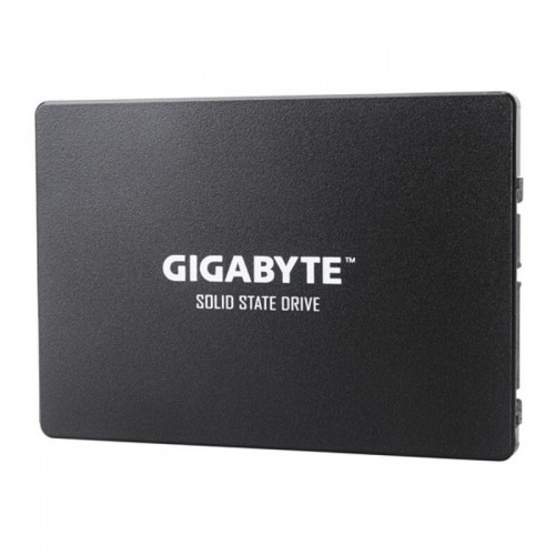 Cietais Disks Gigabyte GP-GSTFS31256GTND 256 GB SSD image 3
