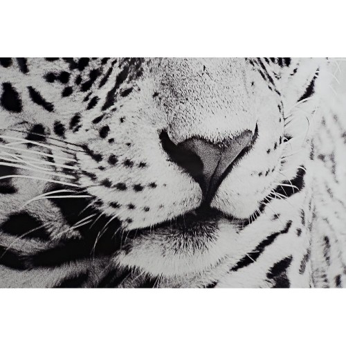 Glezna DKD Home Decor Leoparda Koloniāls (100 x 2,5 x 100 cm) (2 gb.) image 3