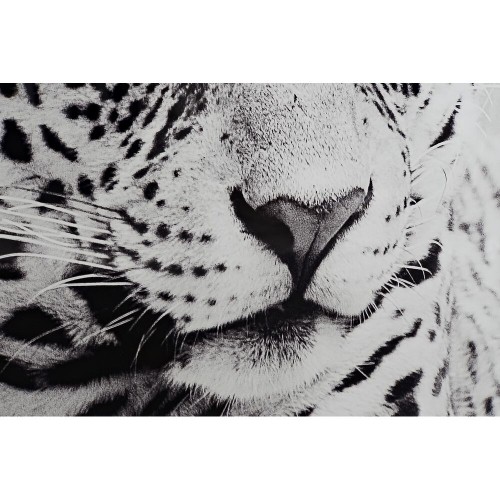 Painting DKD Home Decor 100 x 2,5 x 100 cm Leopard Colonial (2 Units) image 3