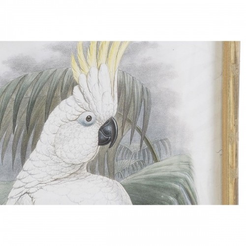 Painting DKD Home Decor 50 x 2,8 x 70 cm Colonial Parrot (2 Units) image 3