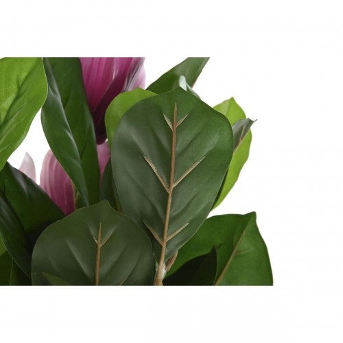 Dekoratīvs Augs DKD Home Decor Rozā Zaļš PE (60 x 60 x 125 cm) image 3