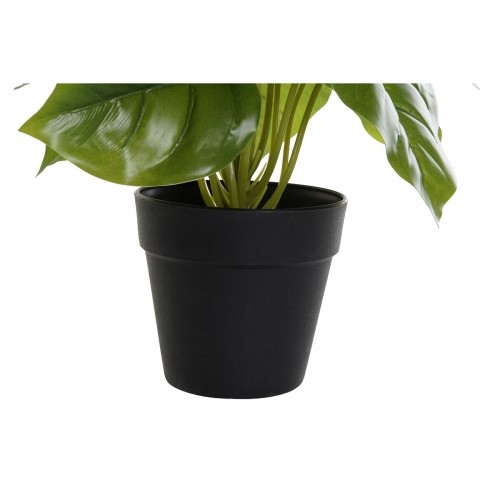 Декоративное растение DKD Home Decor Чёрный Зеленый PVC PP (20 x 20 x 30 cm) image 3