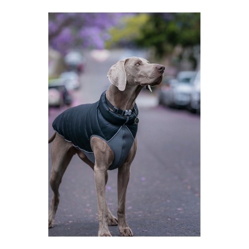 Dog Coat Red Dingo Puffer 45 cm Black/Grey image 3