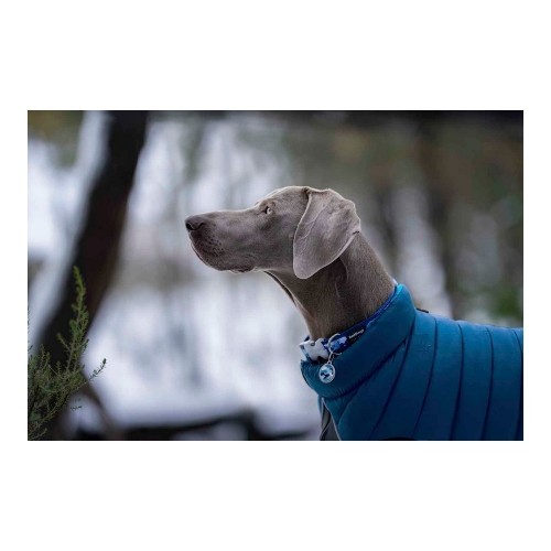 Dog Coat Red Dingo Puffer Turquoise 25 cm image 3