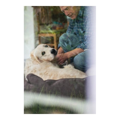 Диван для собак Hunter Boston Текстиль Коричневый (80 x 60 cm) image 3