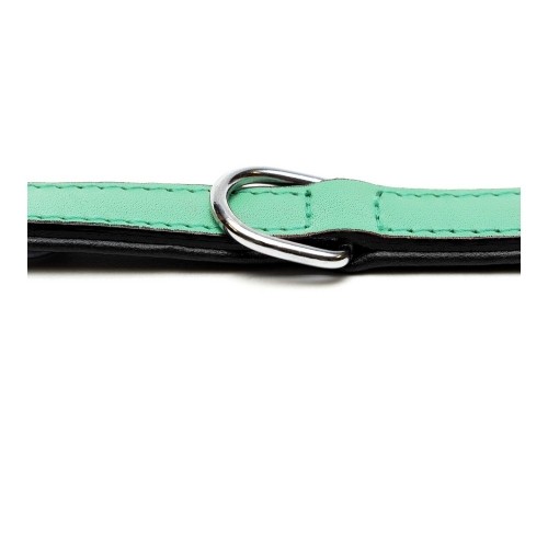 Dog collar Gloria Padded Green (50 x 2,5 cm) image 3