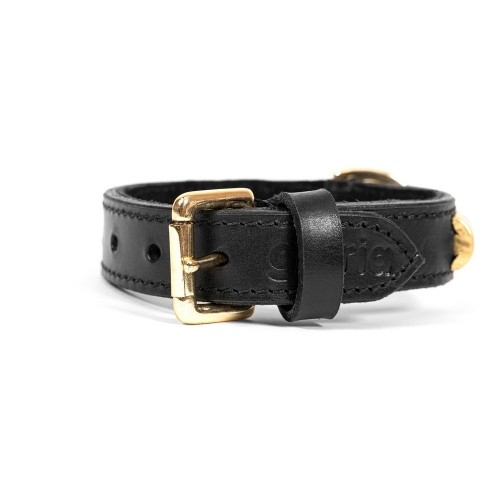 Dog collar Gloria Duna Black Golden (45 x 2.5 cm) image 3