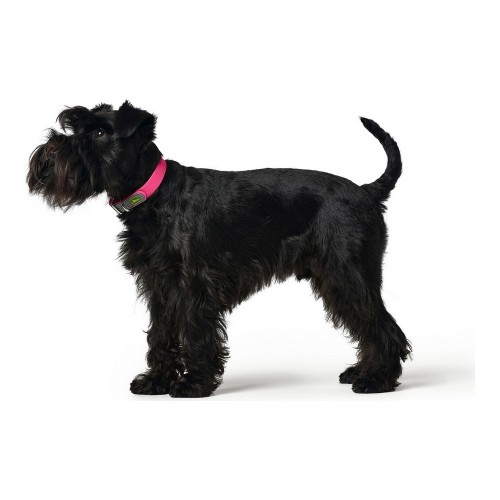 Dog collar Hunter Convenience Pink Size M (38-46 cm) image 3