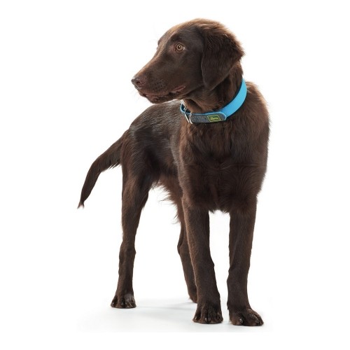 Dog collar Hunter Convenience Turquoise (42-50 cm) image 3