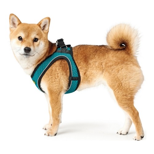 Dog Harness Hunter Hilo Comfort 55-60 cm Size M Turquoise image 3