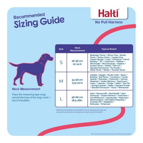 Dog Harness Company of Animals Halti Size M (34-56 cm) image 3