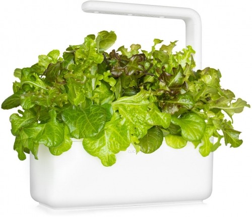 Click & Grow Smart Refill Красный салат оаклиф 3 шт. image 3
