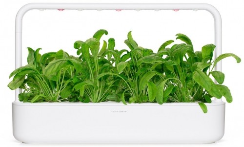 Click & Grow Smart Garden uzpilde Mibuna 3gb. image 3