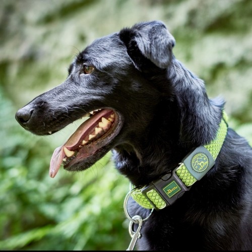 Dog collar Hunter Vario Plus Threads Size L Lime (40-60 cm) image 3