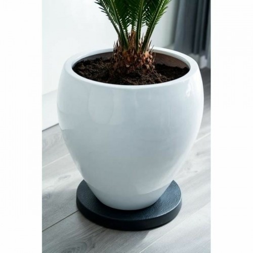 Flowerpot Standt with Wheels Nature Black polypropylene (Ø 29,2 x 4 cm) image 3