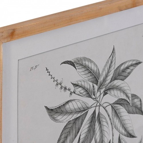 Картина DKD Home Decor Ель Стеклянный Ботанические растения (50 x 65 x 2 cm) (4 штук) image 3