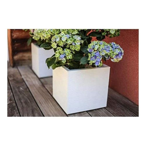 Plant pot EDA White Plastic 5 cm image 3