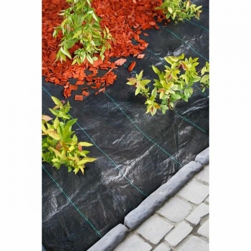 Weed control mesh Nature (4,20 X 5 m) image 3