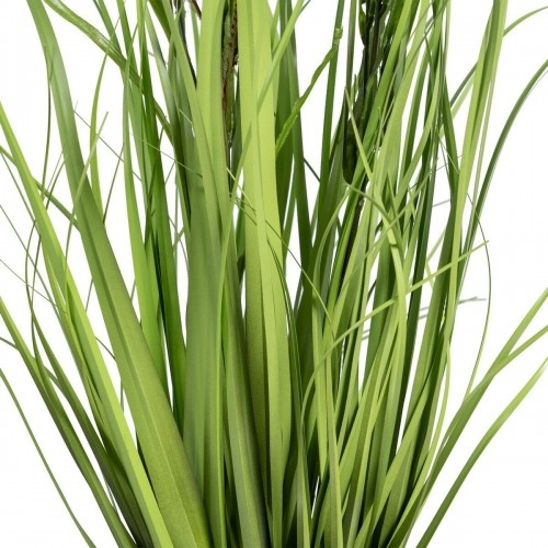 Bigbuy Home Декоративное растение 45 x 40 x 74 cm Зеленый PVC image 3