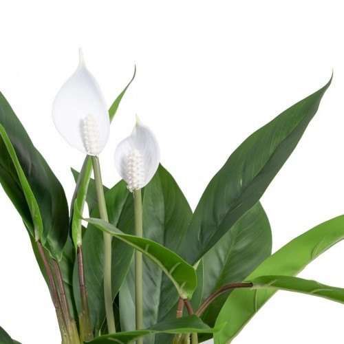 Bigbuy Home Декоративное растение 40 x 41 x 48 cm Зеленый PVC image 3