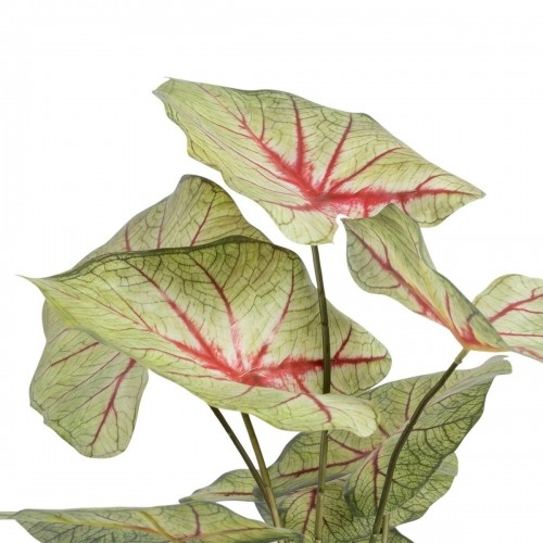 Bigbuy Home Декоративное растение Красный Зеленый PVC 40 x 35 x 55 cm image 3