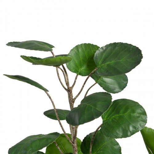 Decorative Plant 80 x 77 x 113 cm Green PVC Aralia image 3