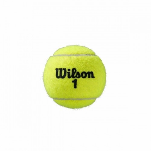 Теннисные мячи Wilson Roland Garros All Court Жёлтый image 3