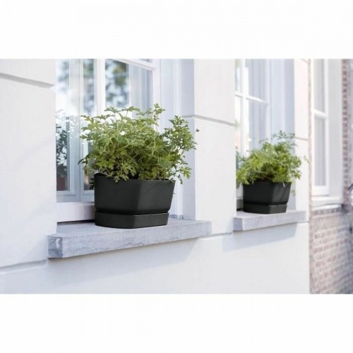 Planter Elho   Black 70 cm Plastic image 3