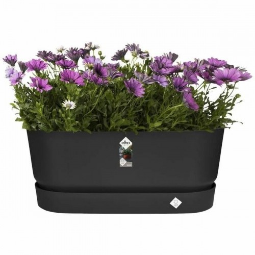 Наружный ящик для растений Elho   Чёрный 60 cm Пластик овальная image 3
