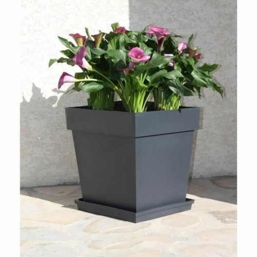 Plant pot EDA Grey polypropylene Plastic 39 cm 39 x 39 x 39 cm image 3