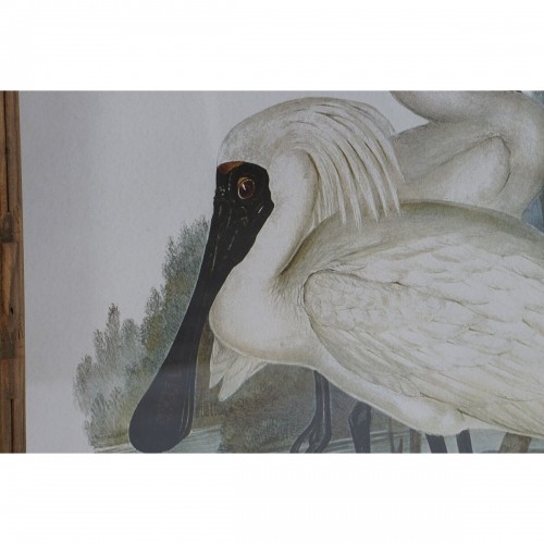 Картина DKD Home Decor птицы Восточный 45 x 3 x 60 cm (4 штук) image 3