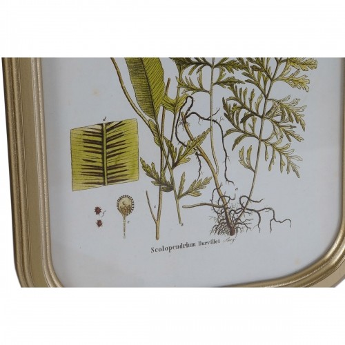Картина DKD Home Decor современный Ботанические растения 30 x 2 x 45 cm (9 штук) image 3