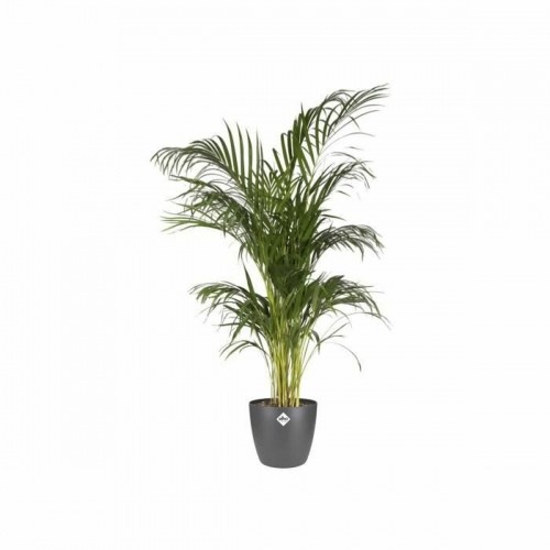 Plant pot Elho 5642322542500 Anthracite polypropylene Plastic Circular image 3