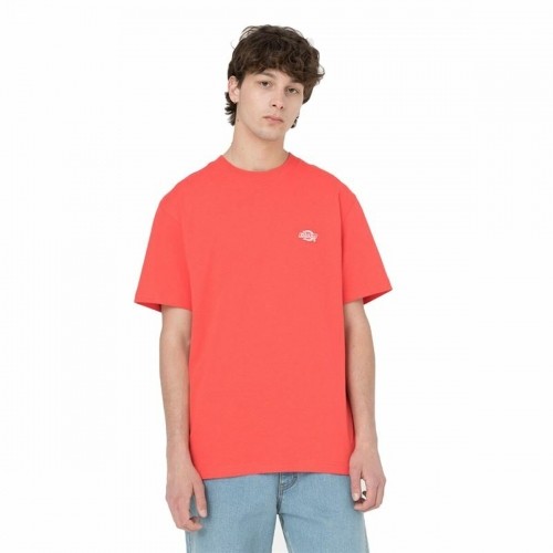 Short Sleeve T-Shirt Dickies Summerdale  Coral Men image 3