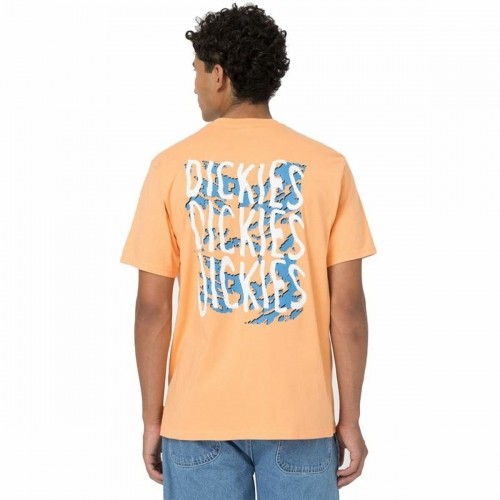 Short Sleeve T-Shirt Dickies Creswell Orange Men image 3
