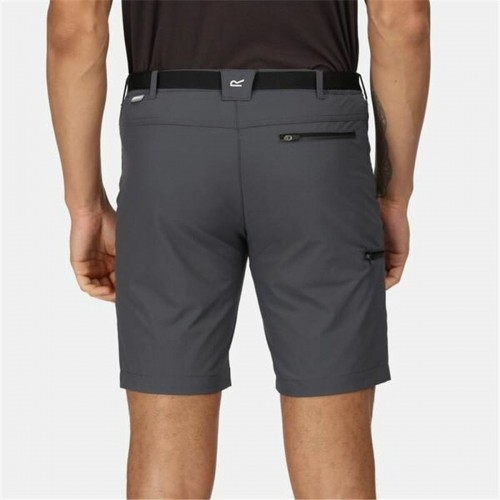 Sports Shorts Regatta Xert StrShort III Grey Moutain image 3