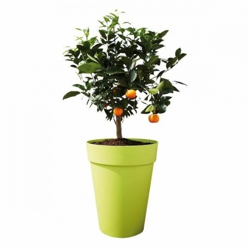Plant pot Elho Grey Circular Ø 35 cm image 3