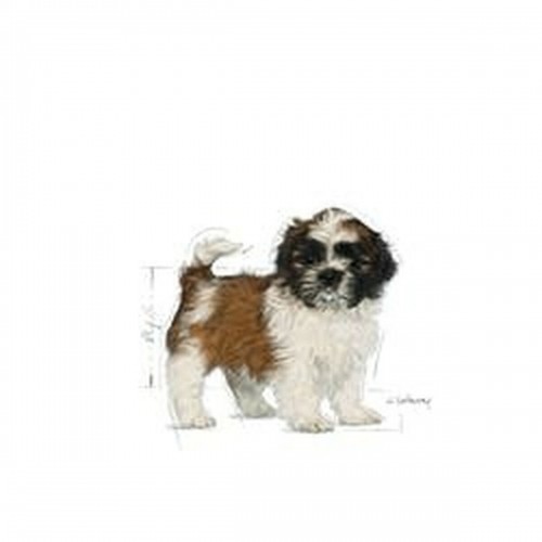 Lopbarība Royal Canin Shih Tzu Puppy Bērns/Juniors Dārzeņu 500 g image 3