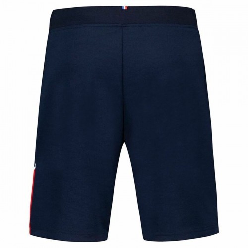 Спортивные мужские шорты Le coq sportif Tri Regular N°1 Sky  Синий image 3