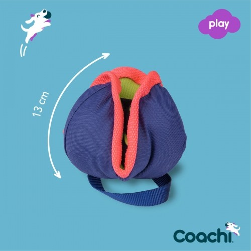 Training toy Coachi CHASE & TREAT Синий image 3
