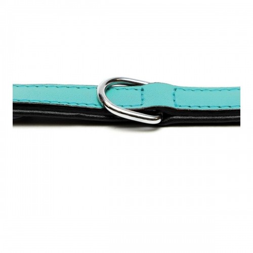 Dog collar Gloria Padded Turquoise 40 cm (40 x 2 cm) image 3
