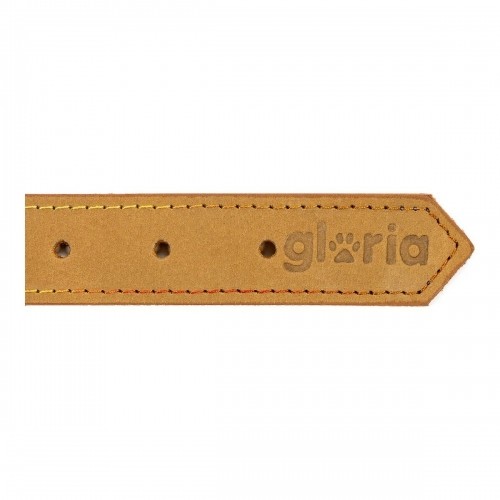 Suņa kaklasiksna Gloria Oasis Dzeltens (50 x 2,1 cm) image 3