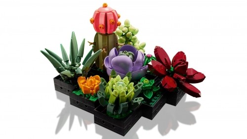 LEGO ICONS 10309 SUCCULENTS image 3