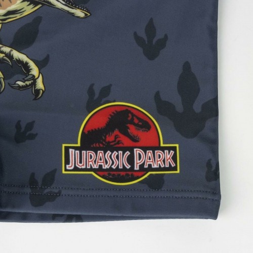 Boys Swim Shorts Jurassic Park Dark grey image 3