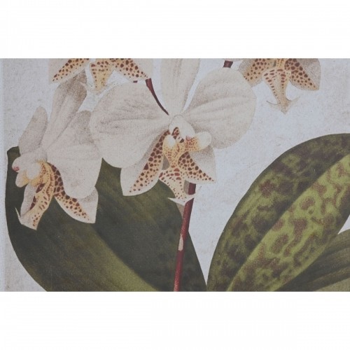 Картина Home ESPRIT Тропический Орхидея 50 x 2,5 x 70 cm (2 штук) image 3