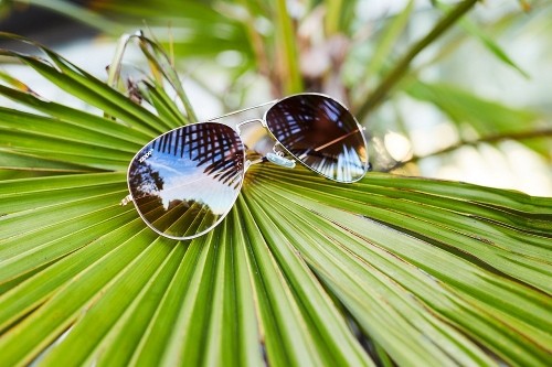 Zippo Sunglasses OB36-16 image 3
